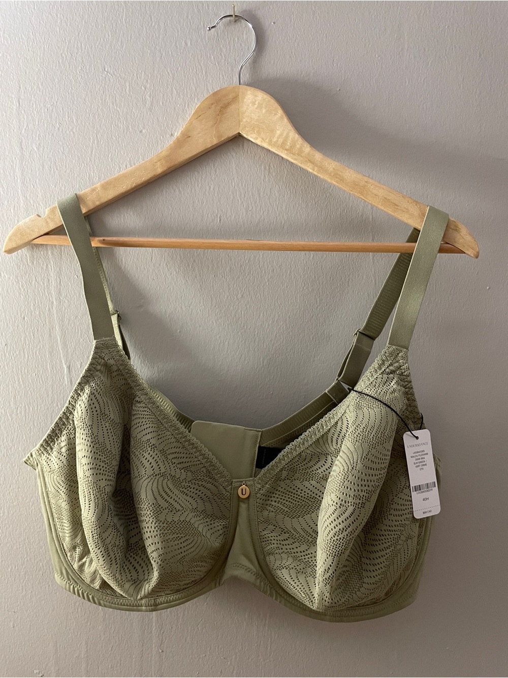 Padded Sage Lace Underwire Bra NWT 40H